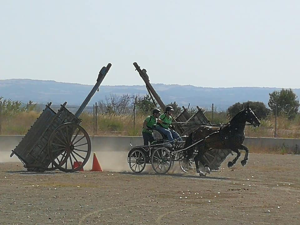 3&ordf; Fase y Final del Campeonato Navarra de Enganches Indoor en La Pinturita de Olite